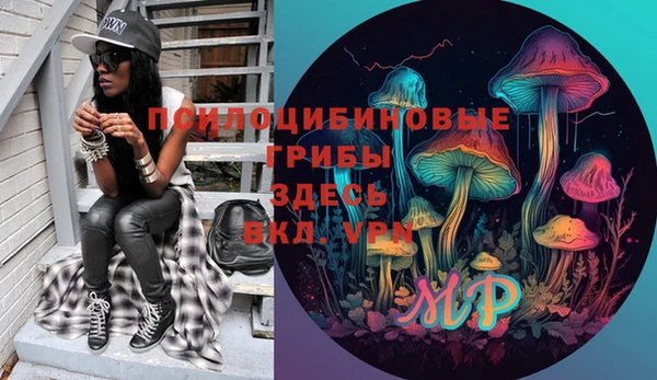 spice Алексин